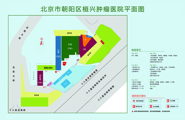 屄屌粗大抽插视频北京市朝阳区桓兴肿瘤医院平面图